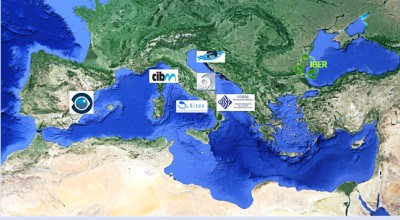 Seminario sui risultati dello studio "Valutazione di scenari di gestione per la predisposizione di piani pluriennali nel Mediterraneo "