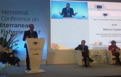 Ministerial Conference on the Mediterranean fisheries