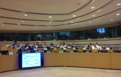 PECH Hearing-"The role of Advisory Councils in the new regionalised CFP"