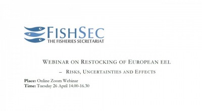FishSec - Webinar on restocking of european eel – risks, uncertainties and effects