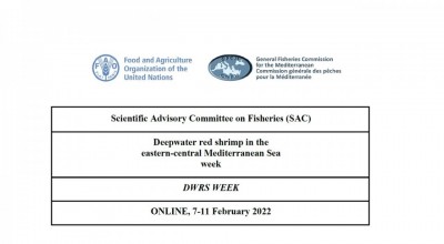 GFCM WGSAD - Session on the assessment of deep-water red shrimp