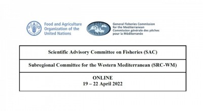GFCM Subregional Committee for the Western Mediterranean (SRC-WM)