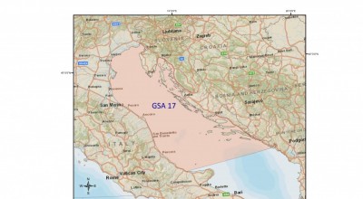 Consultazione Pubblica sui Piccoli Pelagici in Nord Adriatico - lanciata dalla DG MARE