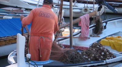 Parere del MEDAC sulla situazione socioeconomica del settore della pesca nel Mediterraneo