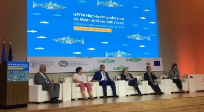 Speech of Giampaolo Buonfiglio during the HLC on MedFish4Ever