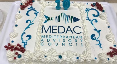 MEDAC meetings  3- 4 June 2020