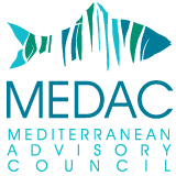 MEDAC - Mediterranean Advisory Council