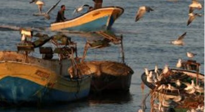 GL 1: Impatto della legislazione Europea sulla Pesca del Mediterraneo - Roma 2013