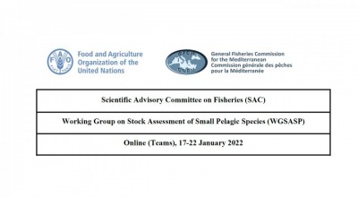 GFCM-SAC-Working Group on Stock Assessment of Small Pelagic Species (WGSASP)