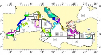 GL1: Impatto della legislazione Europea sulla Pesca del Mediterraneo - REGIONALIZZAZIONE