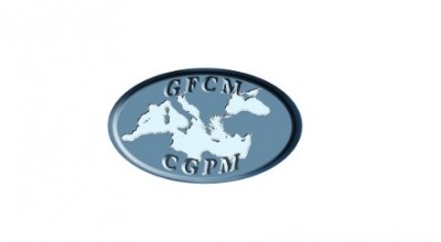 Riunione straordinaria sulle proposte di decisioni della CE inviate alla CGPM in vista della 44esima sessione