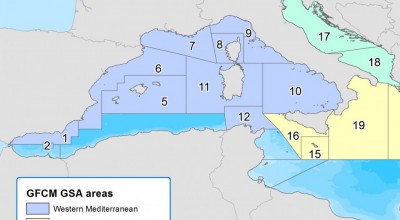 FG West Med + Adriatico 20 febbraio 2019
