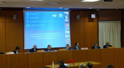 Assemblea Generale- febbraio 2012