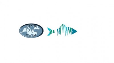 GL 3: Tematiche Relative alla CGPM