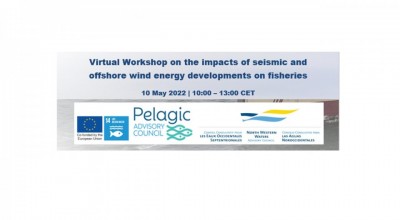 NWWAC-PELAC Virtual workshop on the impacts of seismic and offshore wind energy developments in fisheries